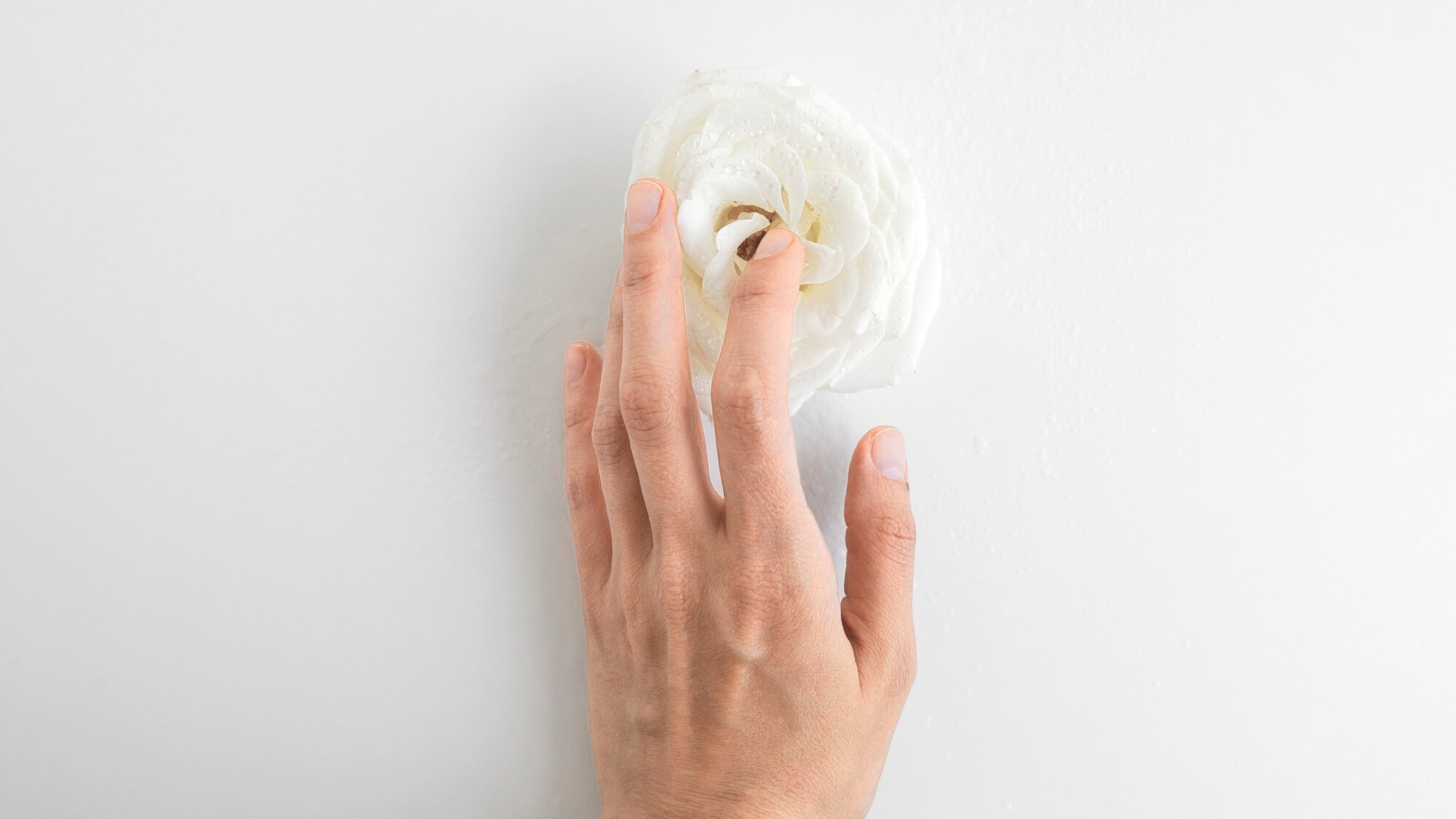Hand gently touching the center of a white flower, symbolizing intimacy and sensual exploration.